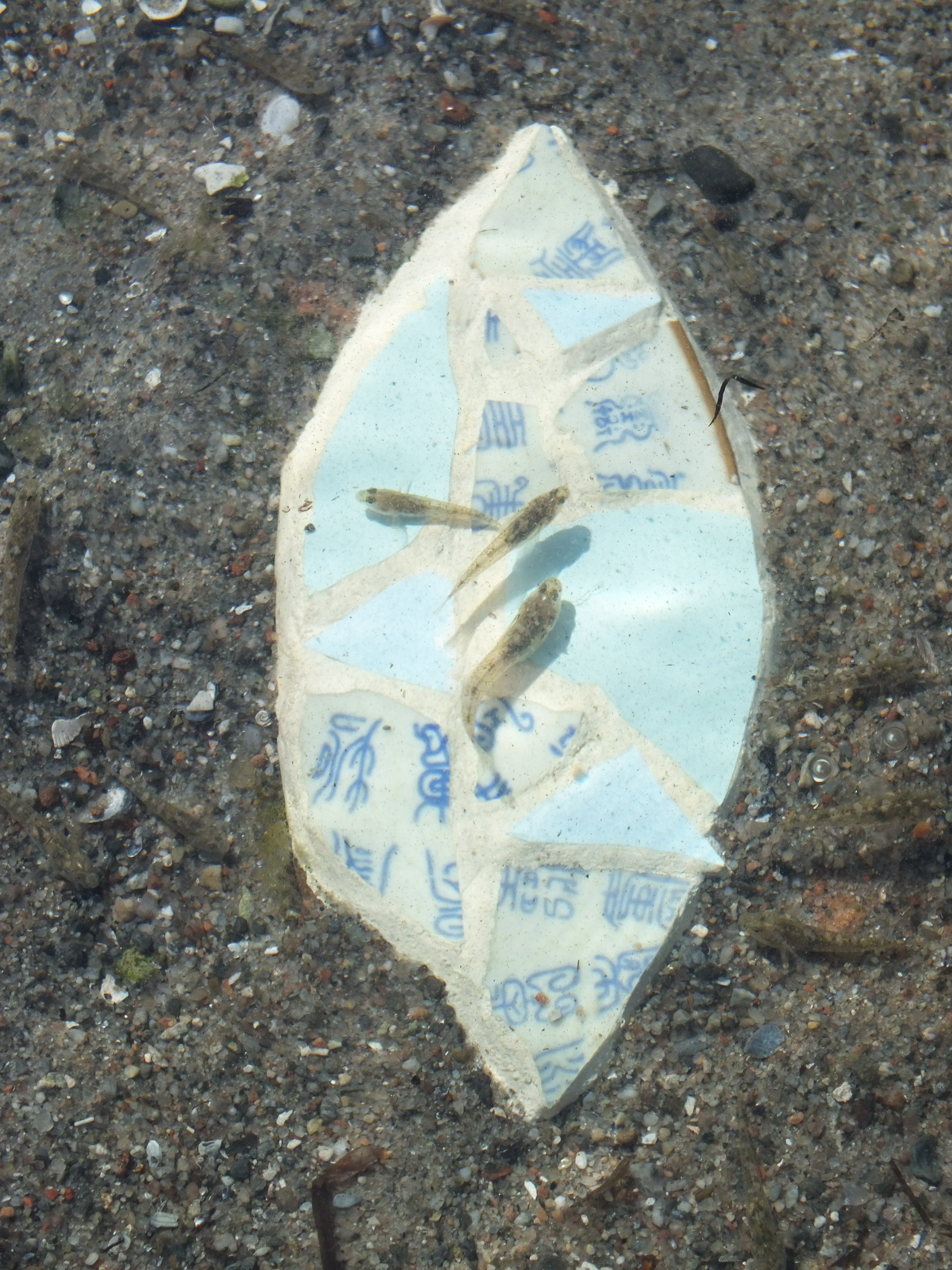 Lotte Rosenkilde. Mosaik-yoni havet med fisk.